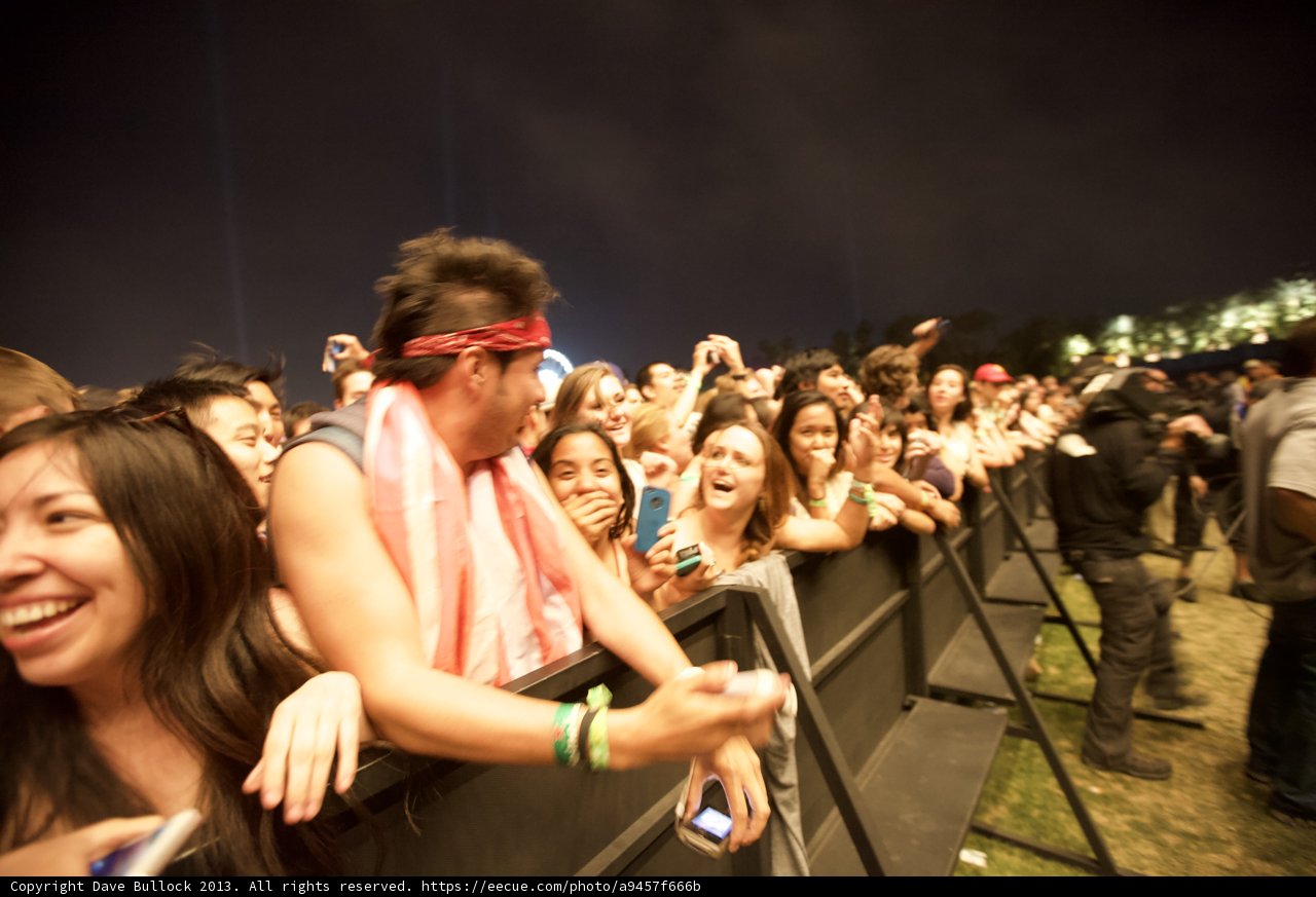 Coachella Crowd