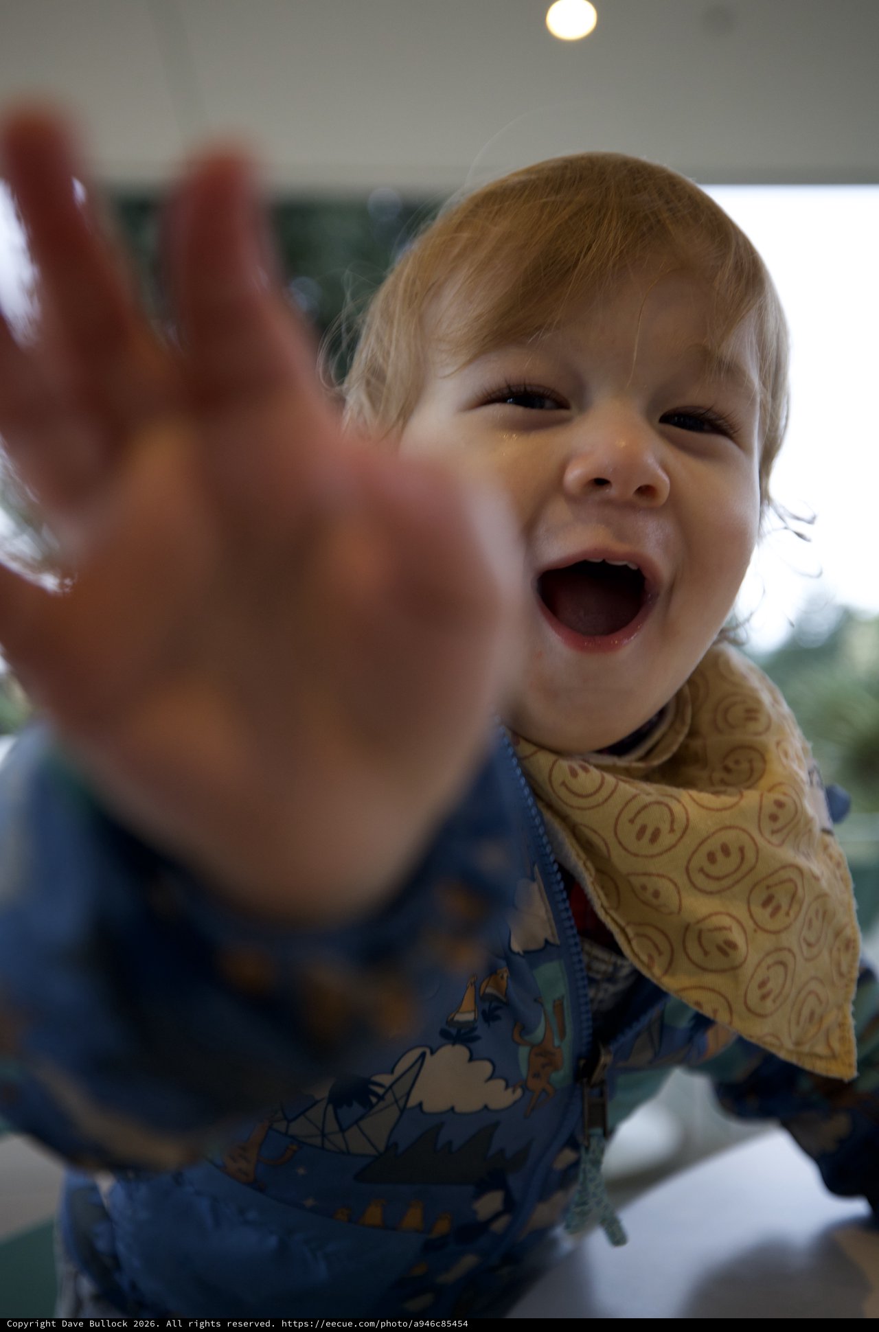 Joyful Toddler Reaching Out at Dinner Table