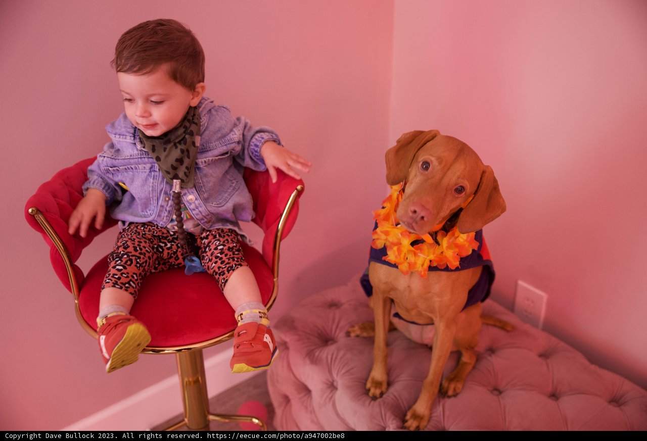 An Unlikely Bond: Wesley and His Furry Friend