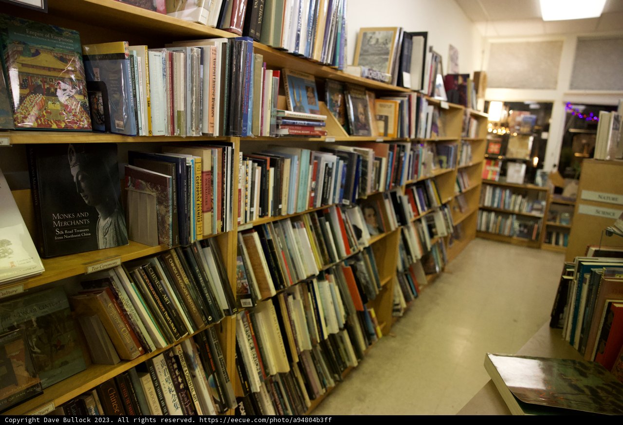 Enthralling Chronicles at Skyela Bookstore
