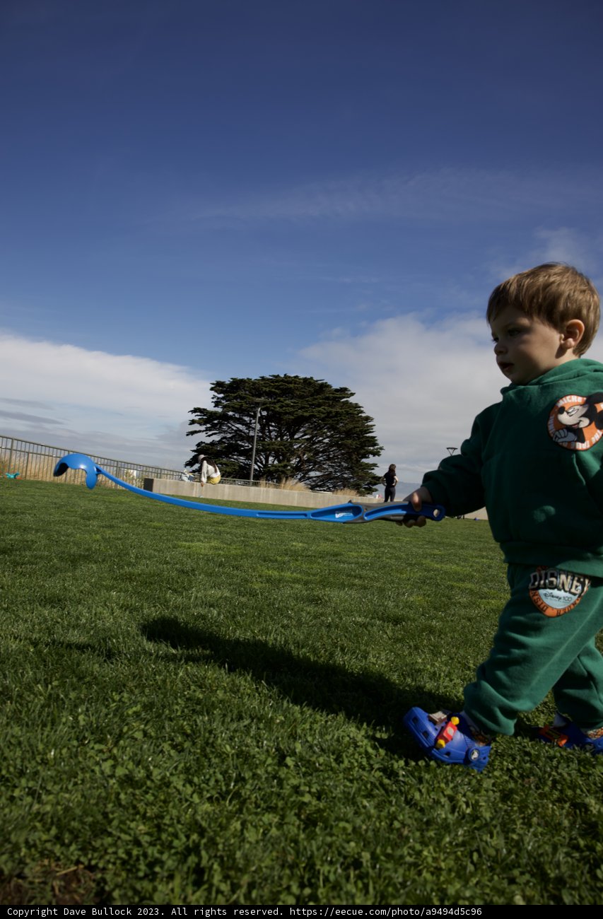 A Day of Adventure: Kite-flying in Francisco Park