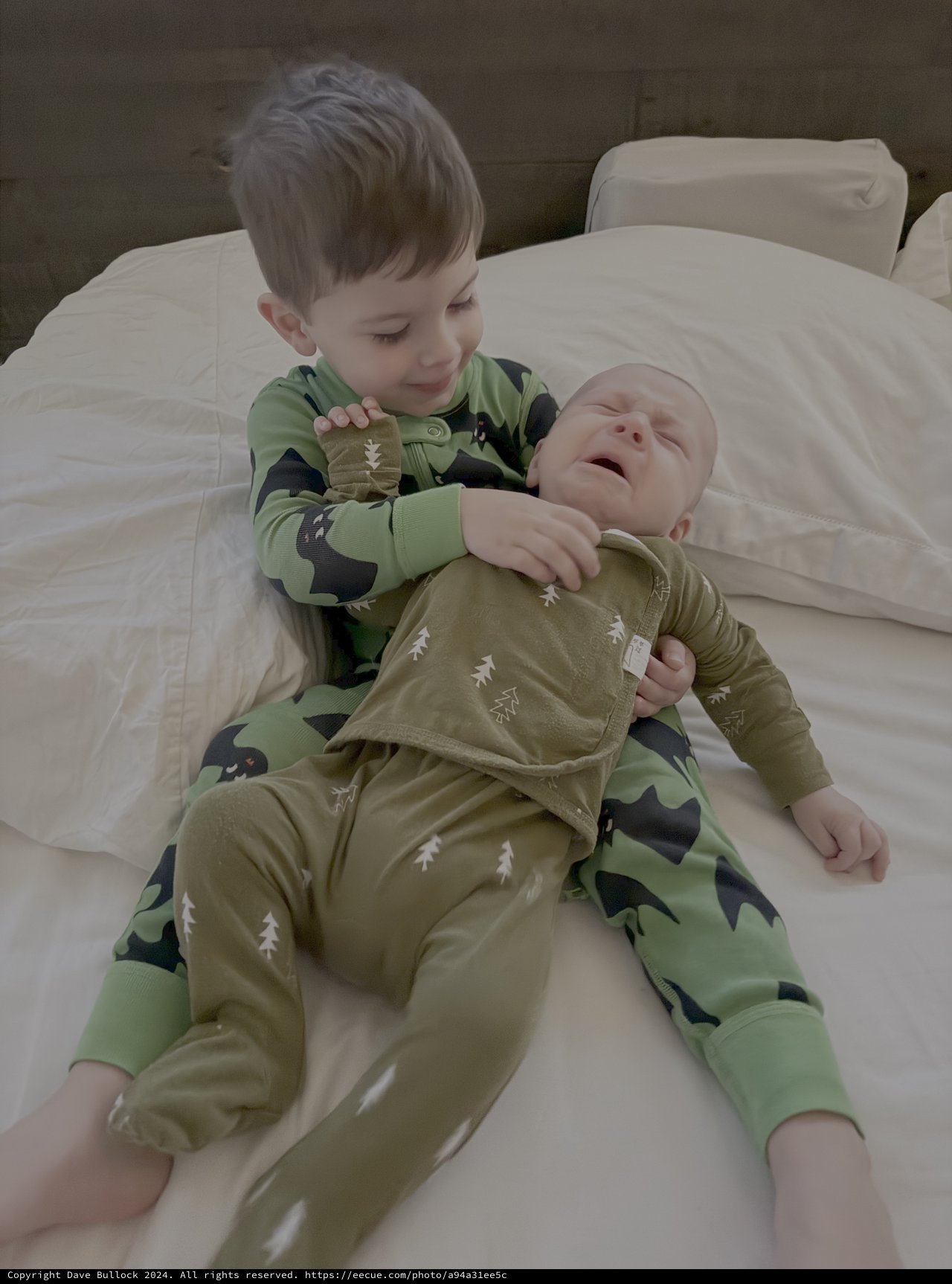 Big Brother Meets New Baby Sibling