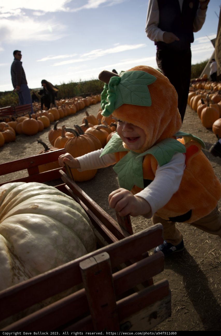 Halloween Glee at the Pumpkin Patch
