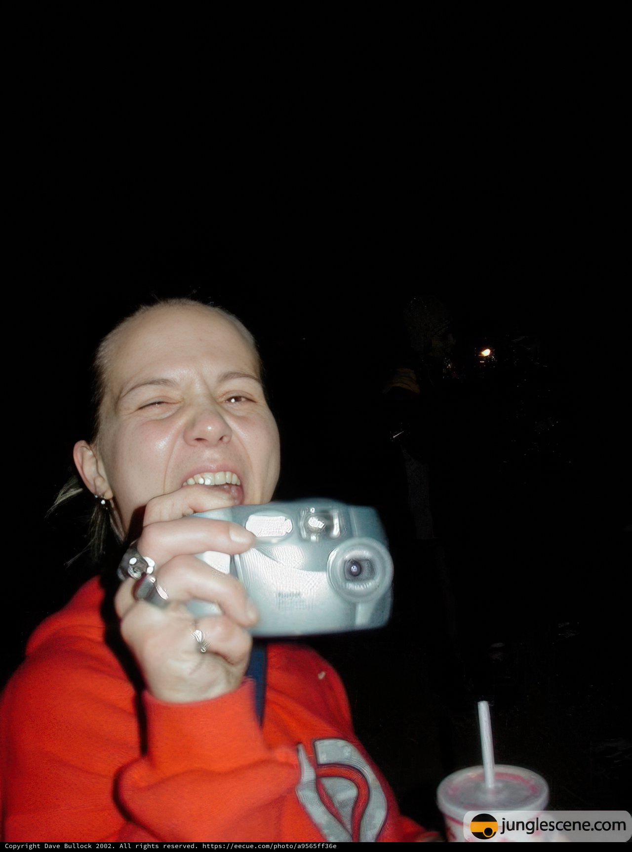 Capturing Memories