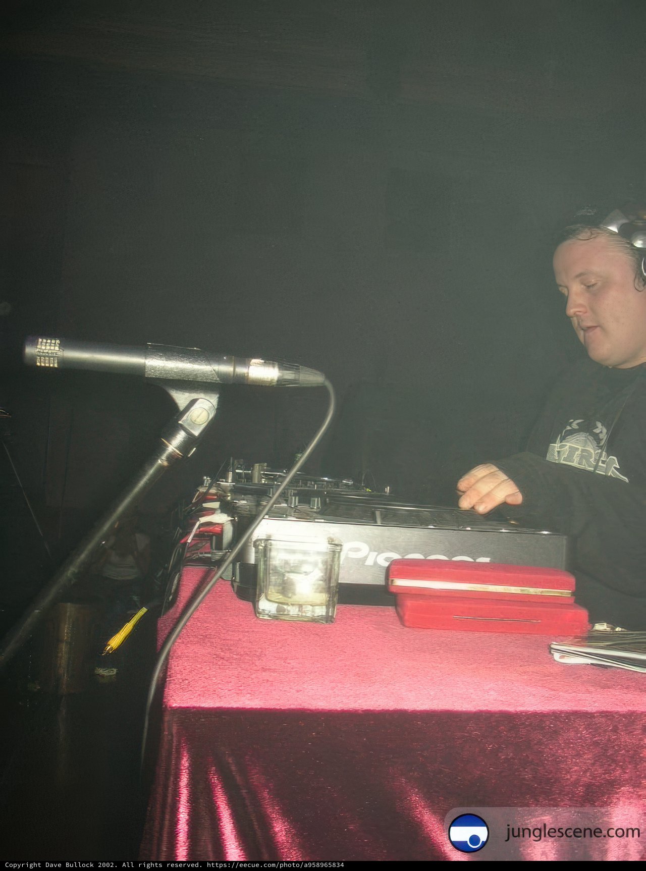 DJ's Melodic Performance
