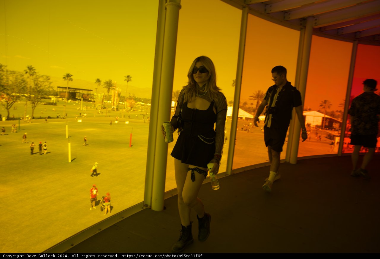 Golden Hour at Coachella 2024