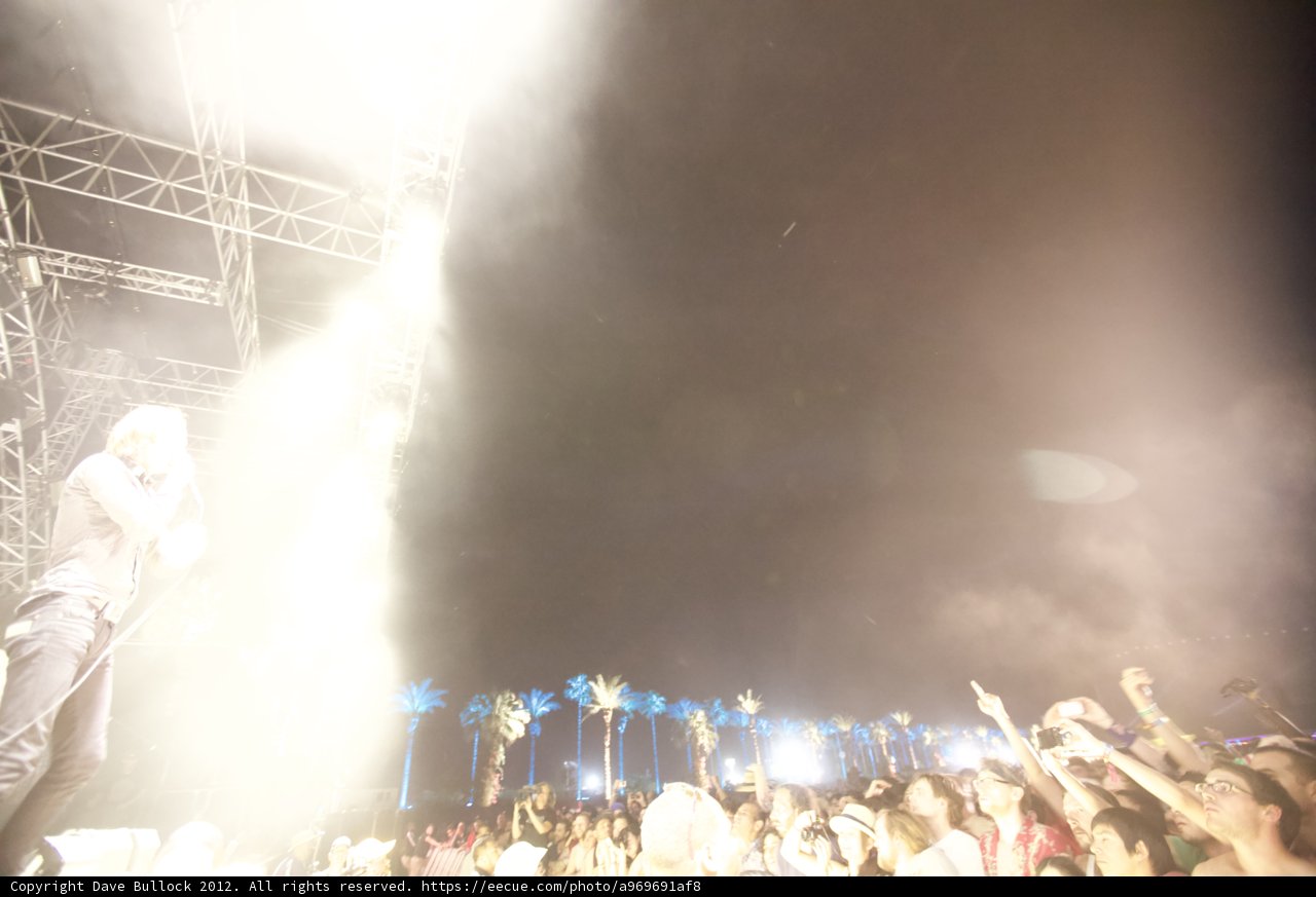 Lights, Crowds, Action