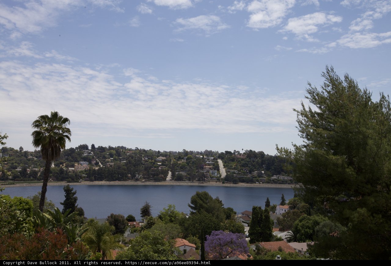 A Serene Summer View