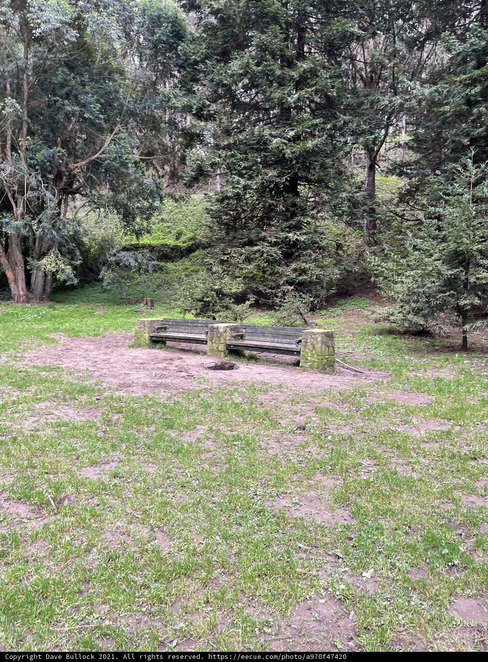 Serene Seating
