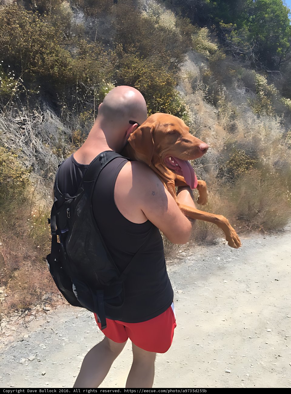 Man's Best Backpacking Buddy