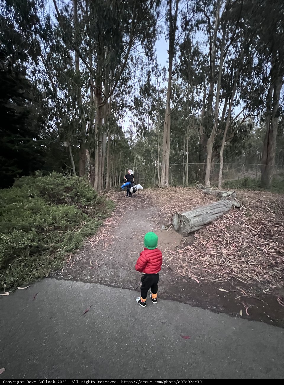 Into The Wild: A Childhood Adventure