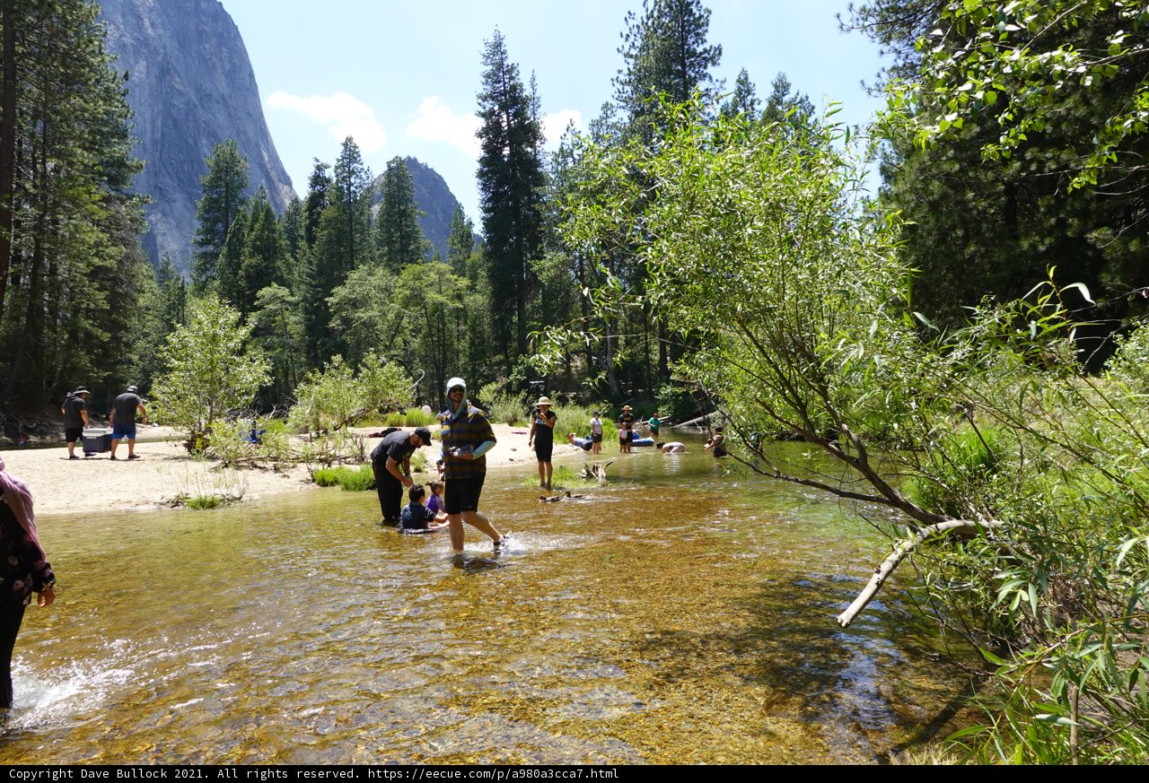 Exploring the River in Wilderness with Friends