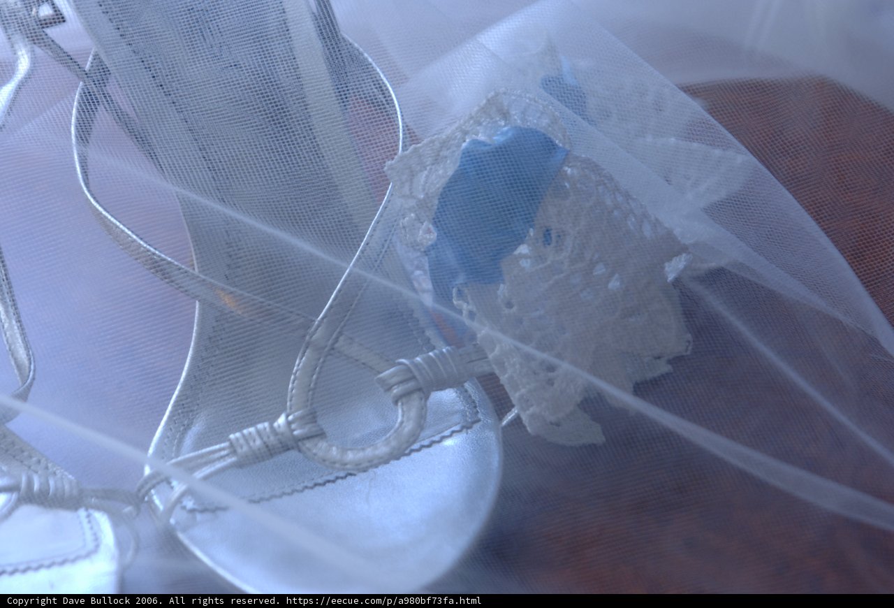 Elegant Wedding Shoes with Veil and Lace