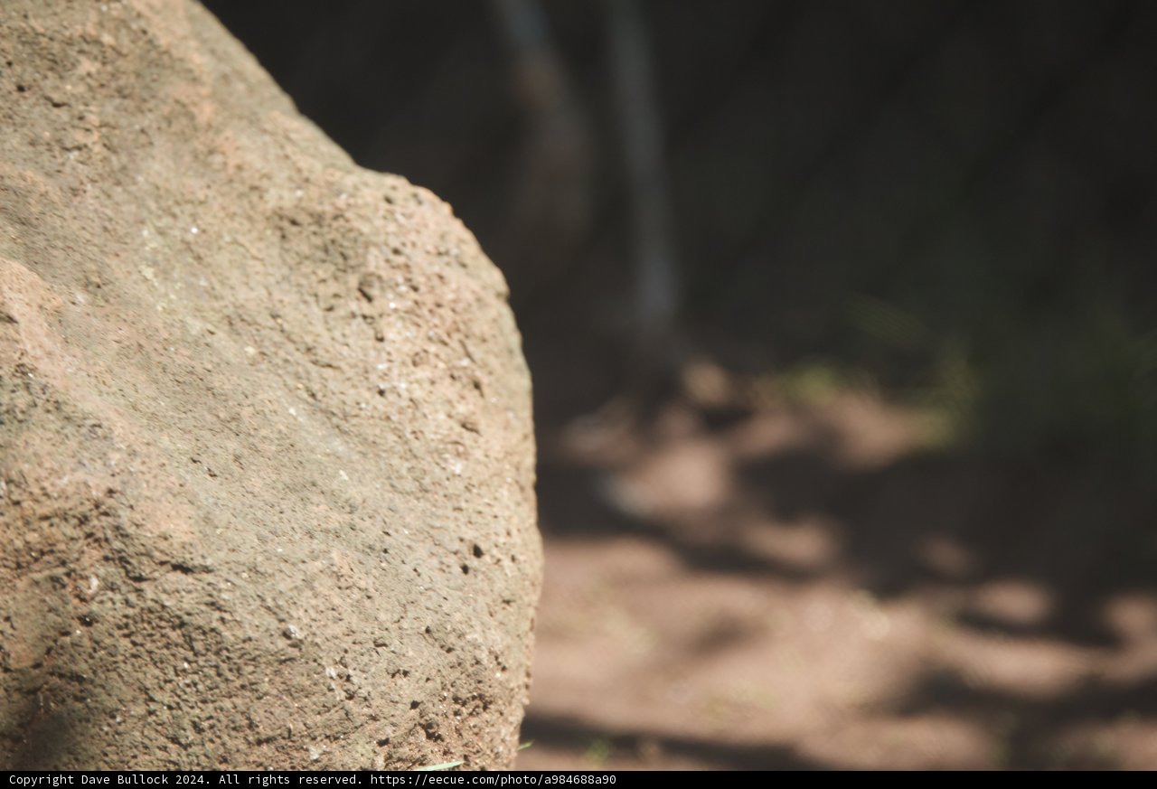 Textures of the Earth: A Close-Up