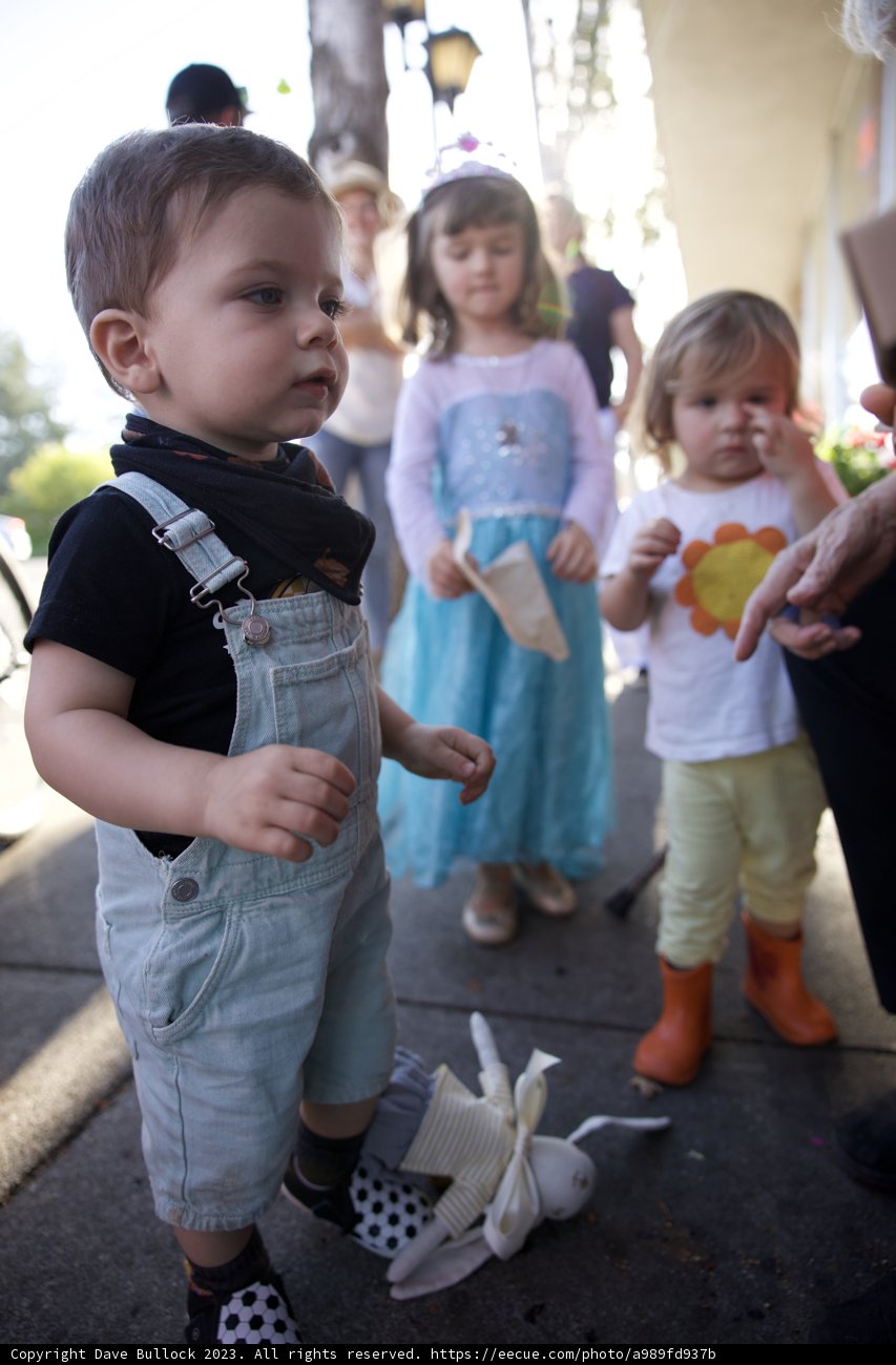 Autumn Joy: Wesley's Day Out
