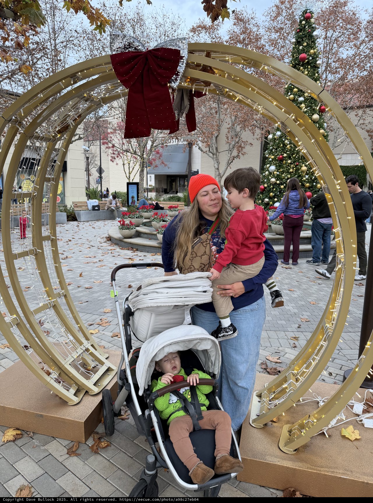 Family Holiday Moment Through Festive Golden Archway