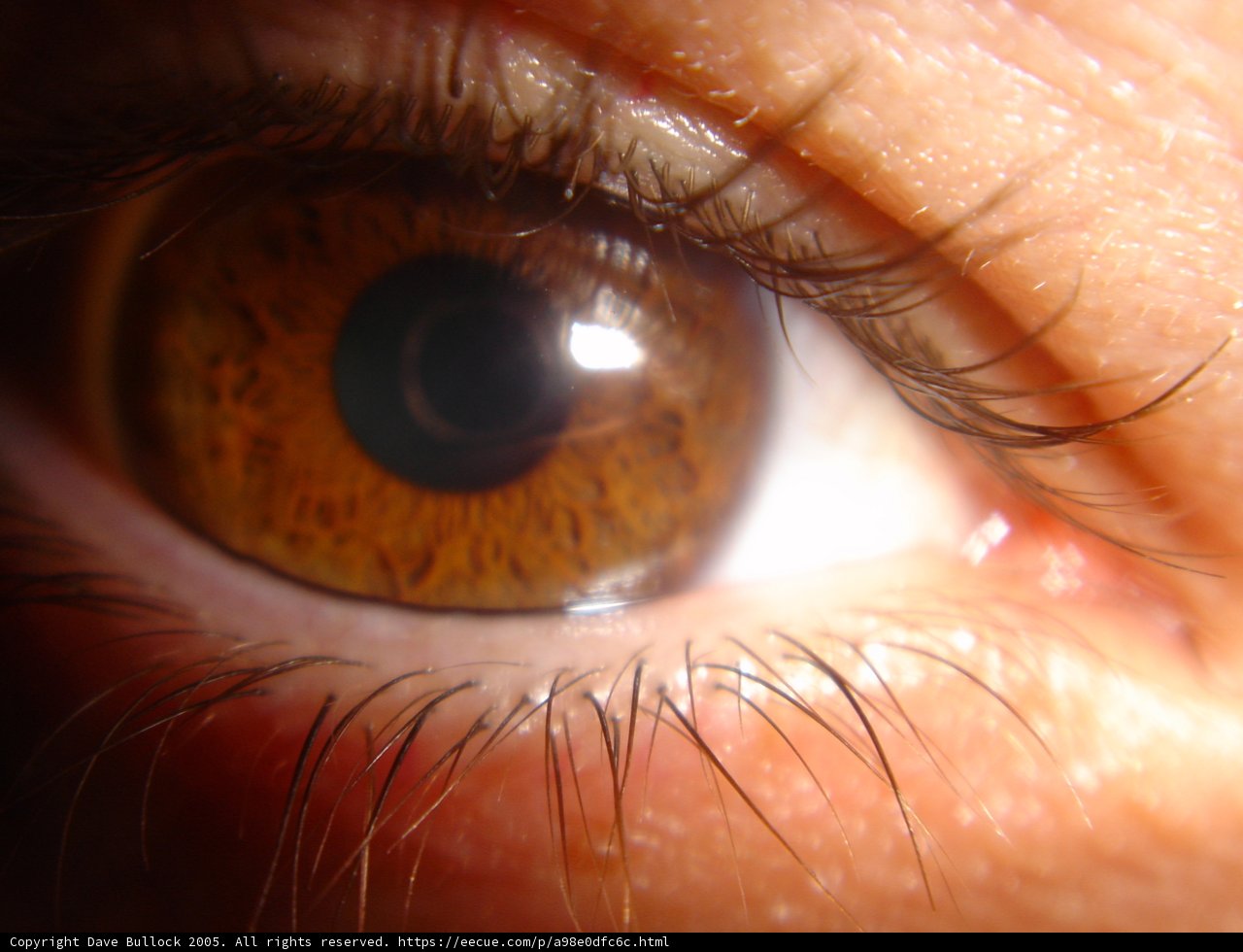 Eye of the Beholder
