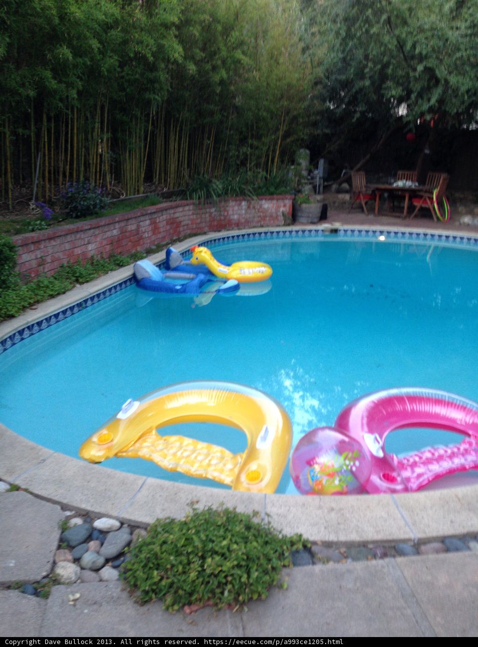 Refreshing Dip in the Backyard Pool