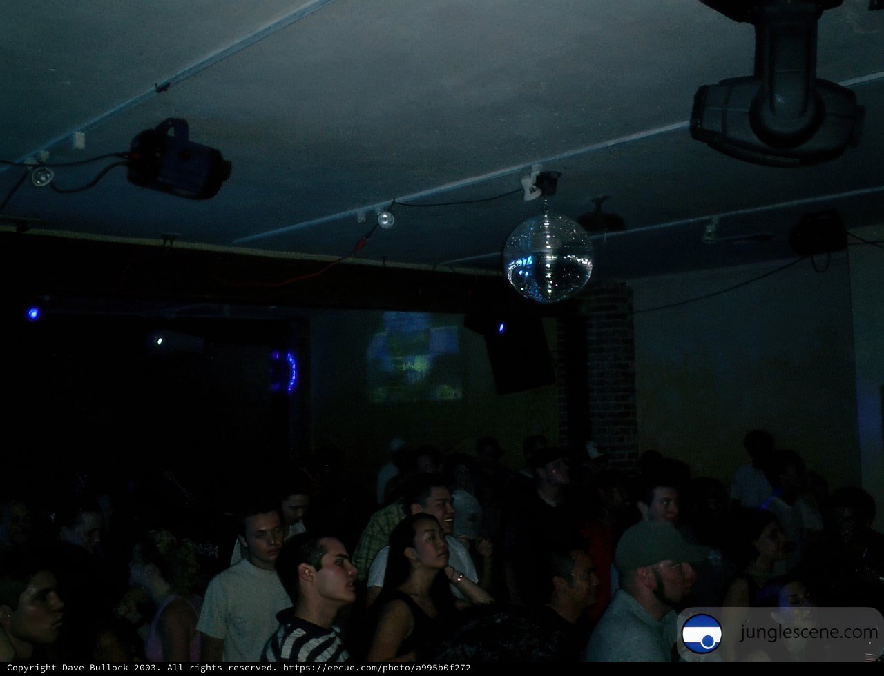 Nightclub Party with Disco Ball
