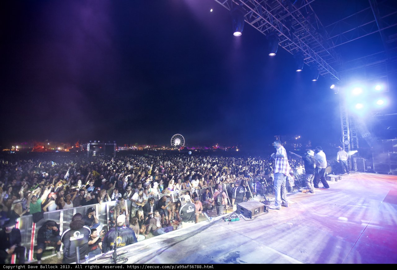 The Electric Crowd