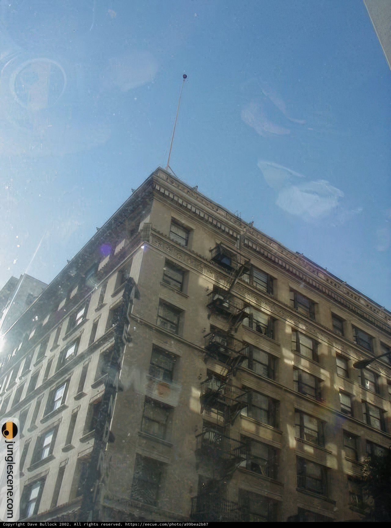 Urban Kite Flying