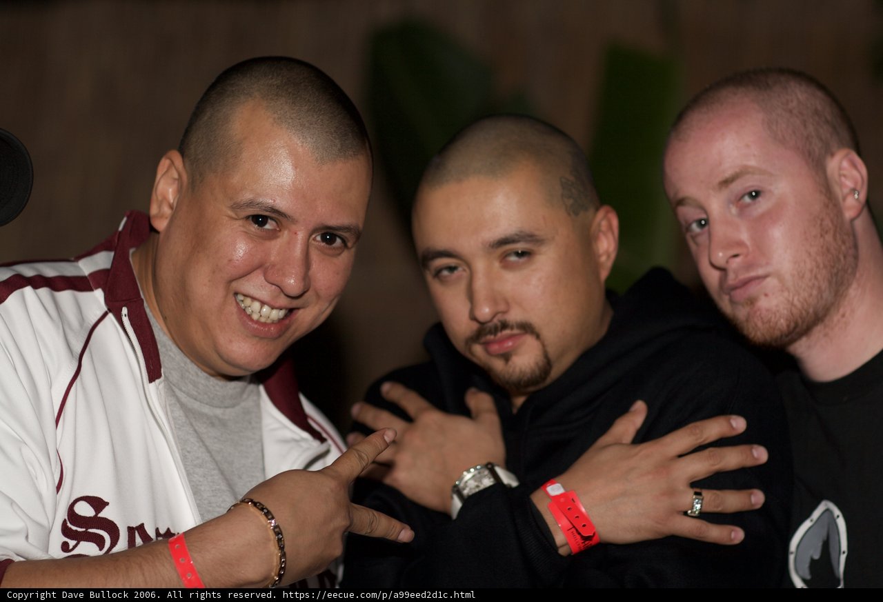 Timeless Trio