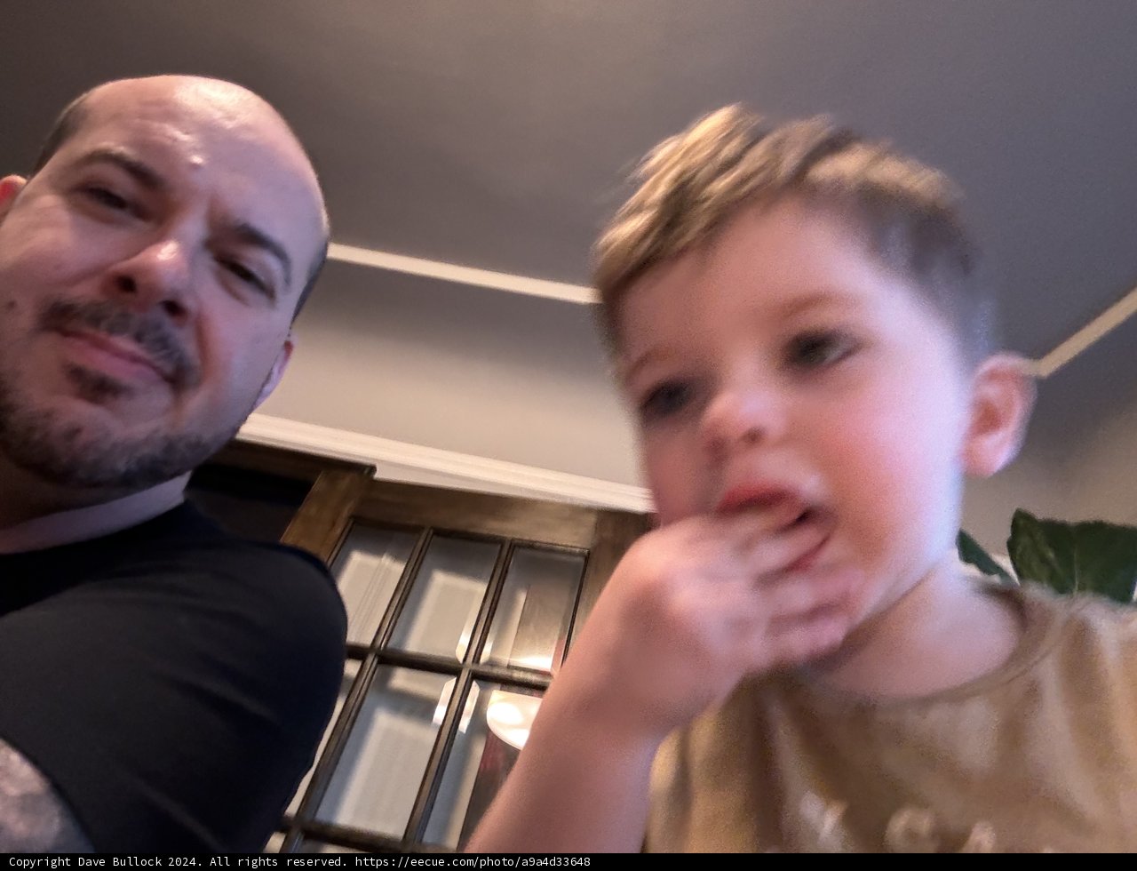 Afternoon Moments