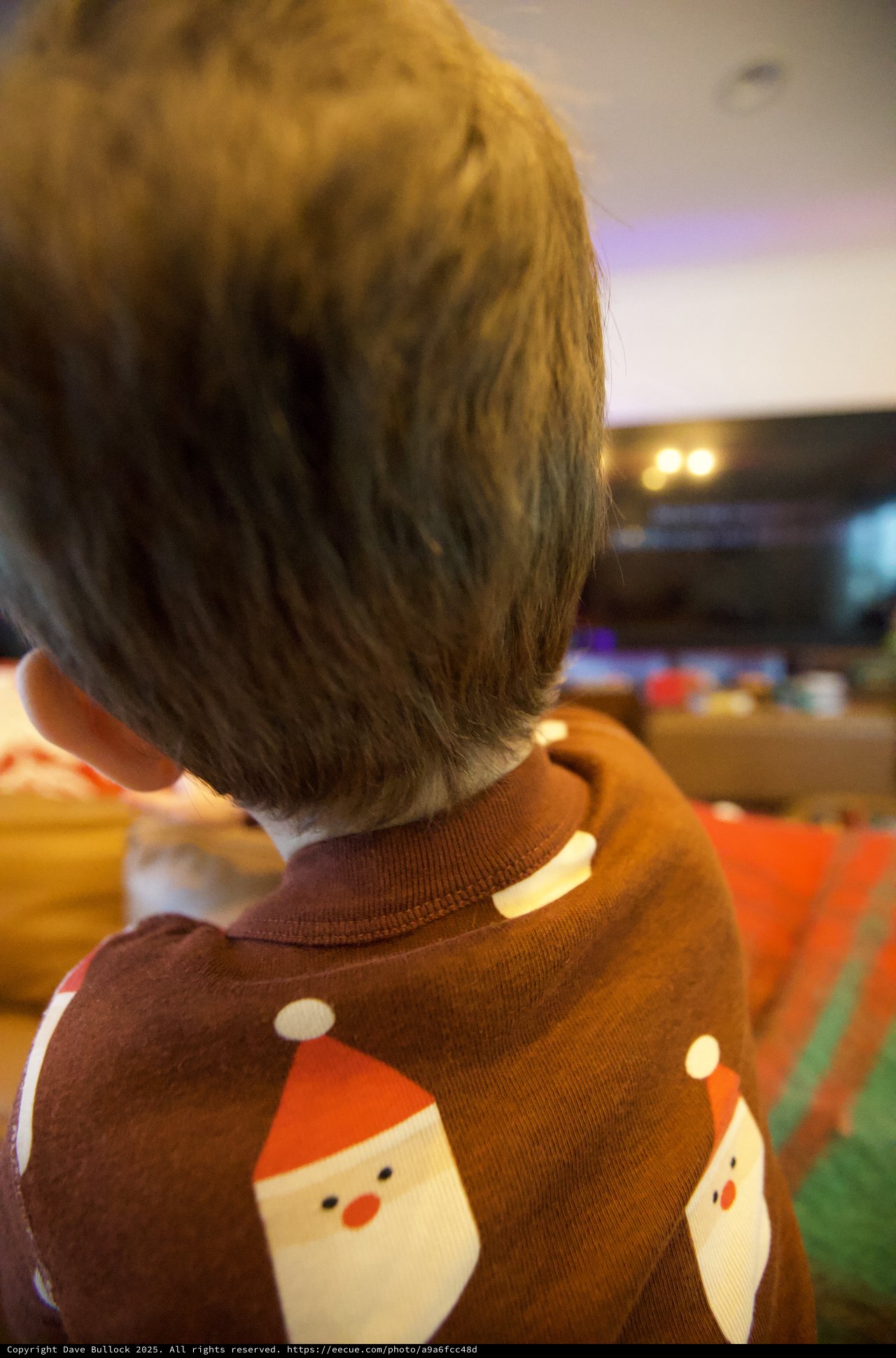 Toddler in Festive Christmas Sweater from Behind