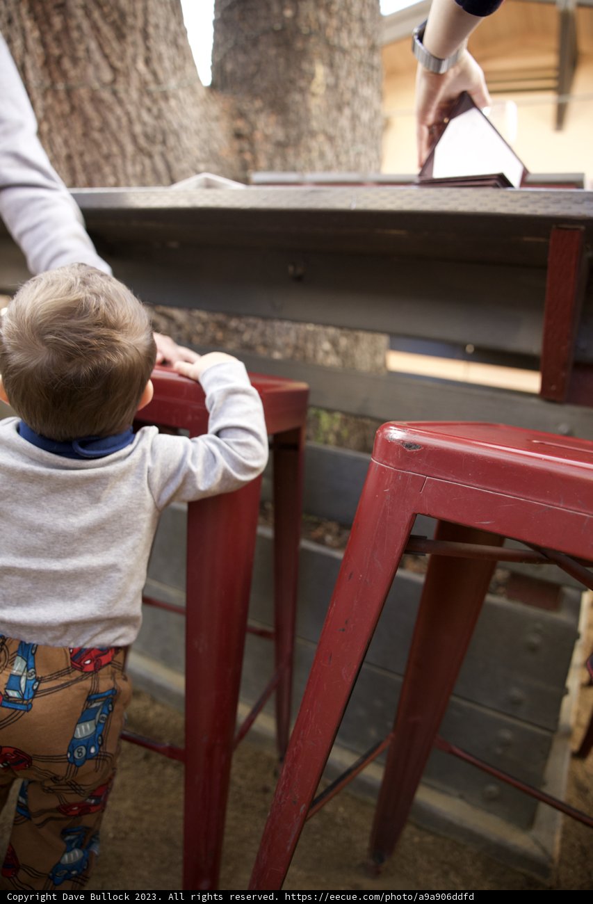 The Journey of Young Curiosity