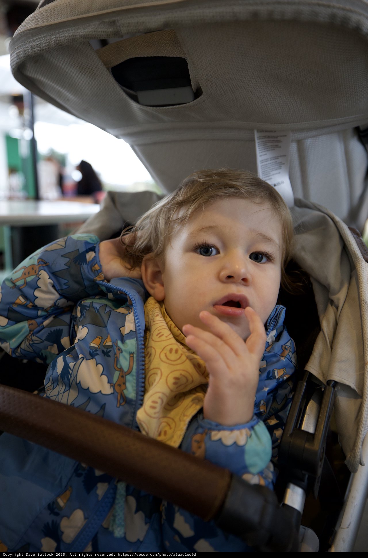 Toddler in Stroller with Finger Near Mouth