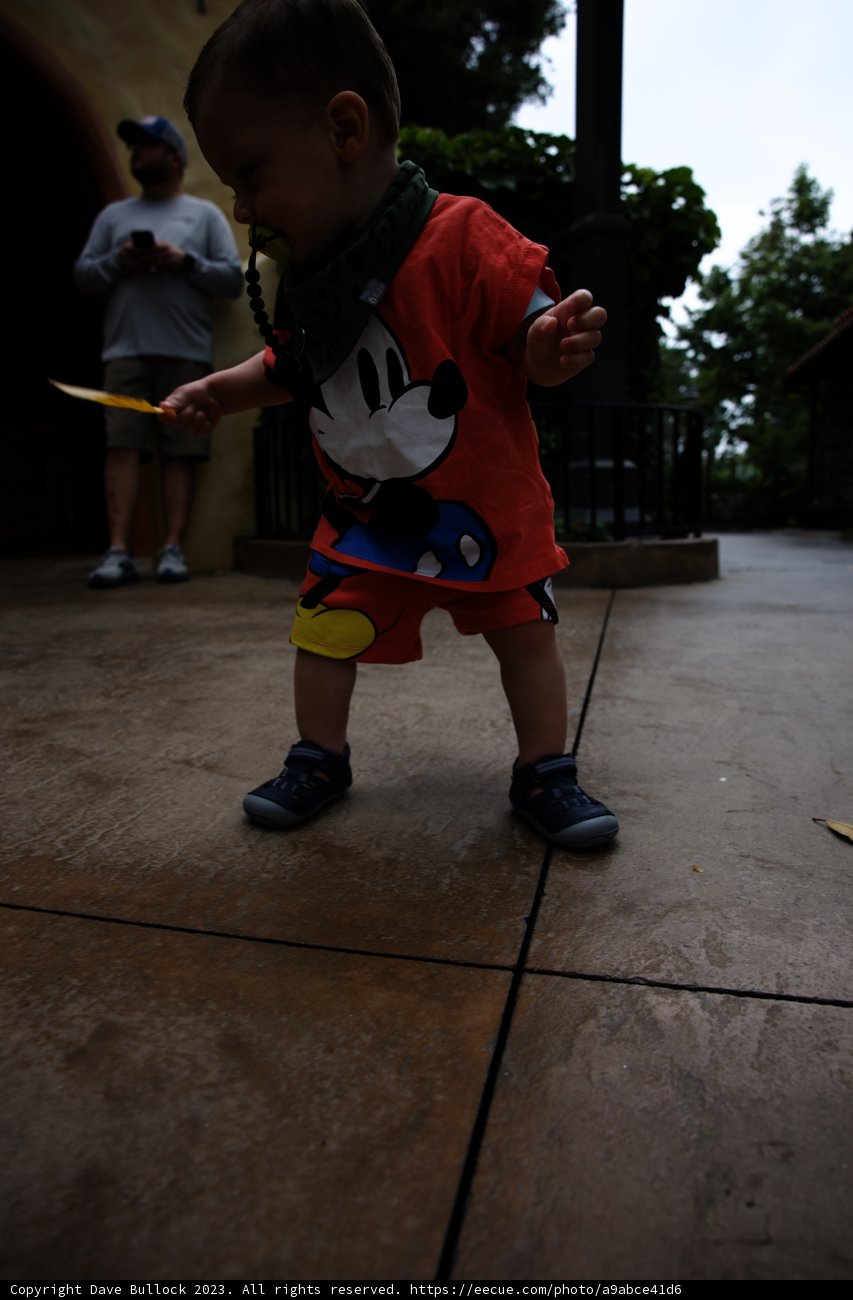 Magical Moments at Disneyland with Baby Wes