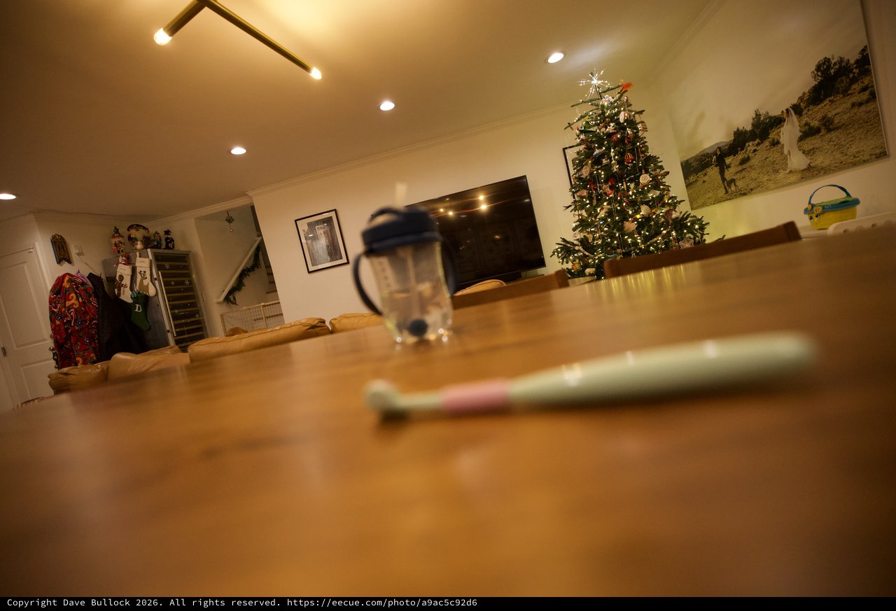 Cozy Holiday Living Room from Low Angle Perspective