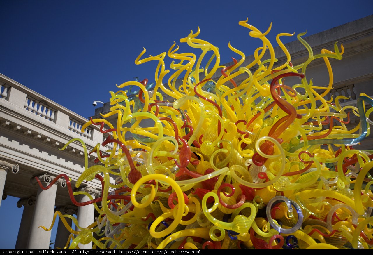 Colorful Glass Tree Sculpture in the Heart of San Francisco