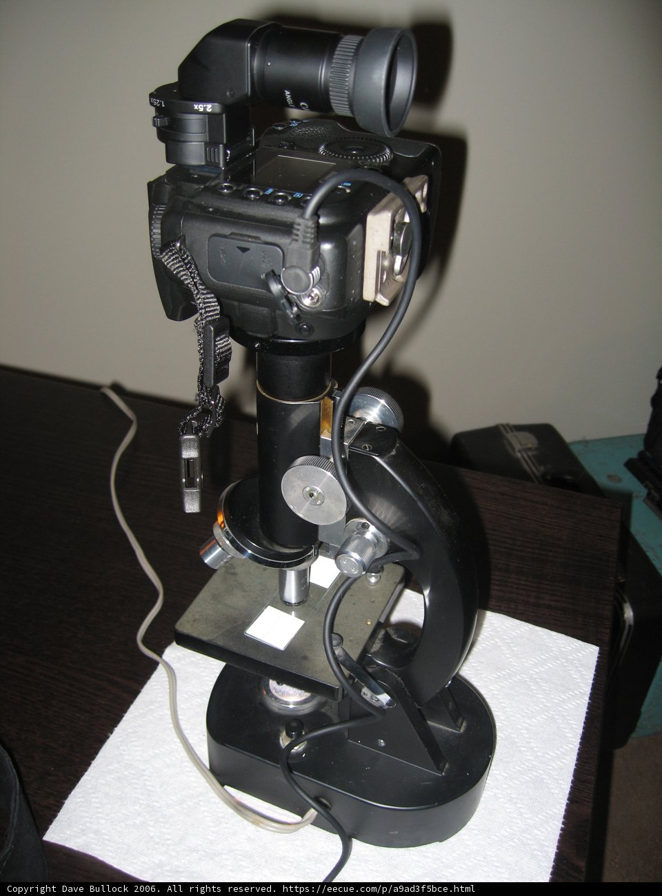 Microscopic View Comes to Life