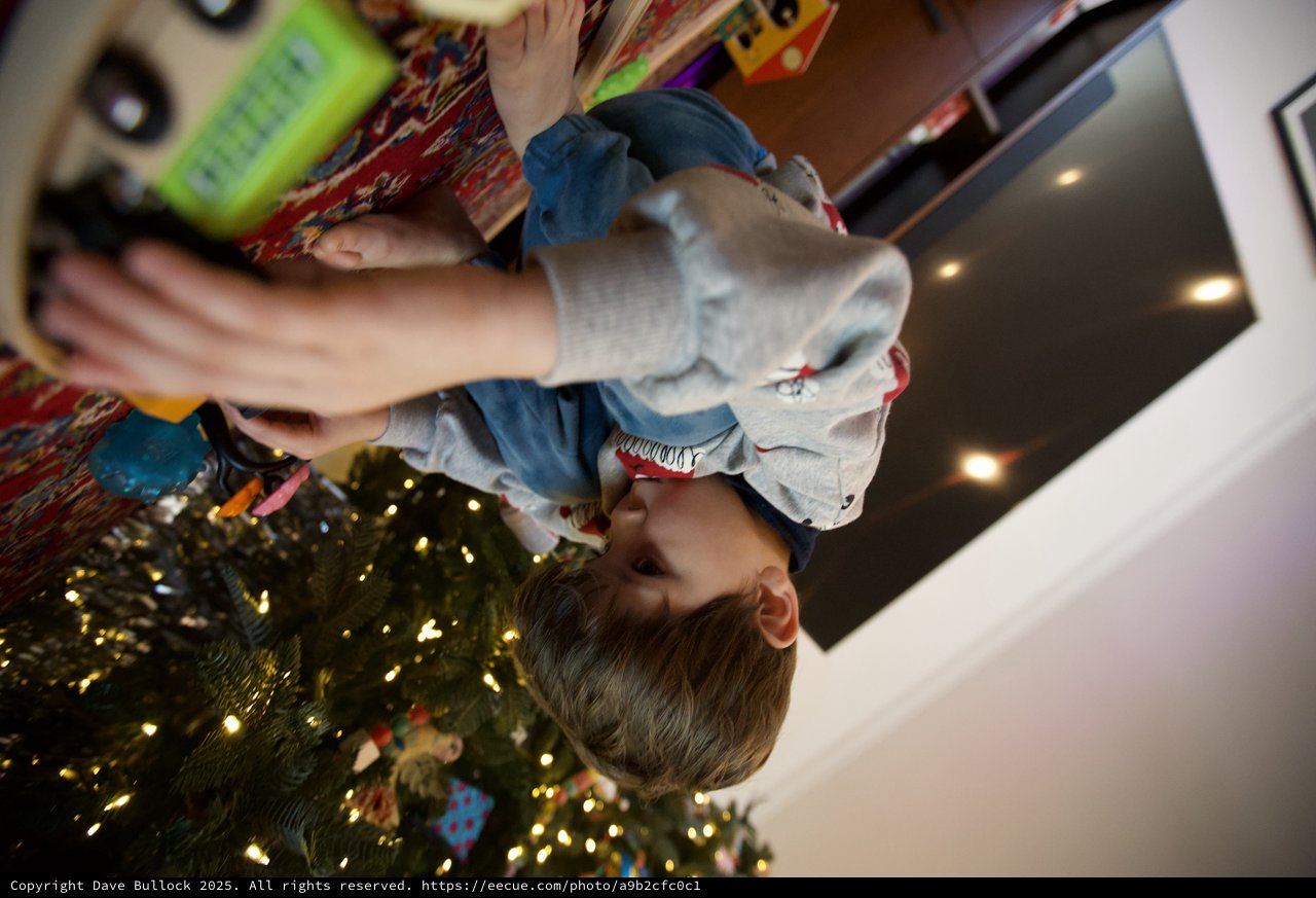 Child with Shark Plush Toy on Christmas Morning
