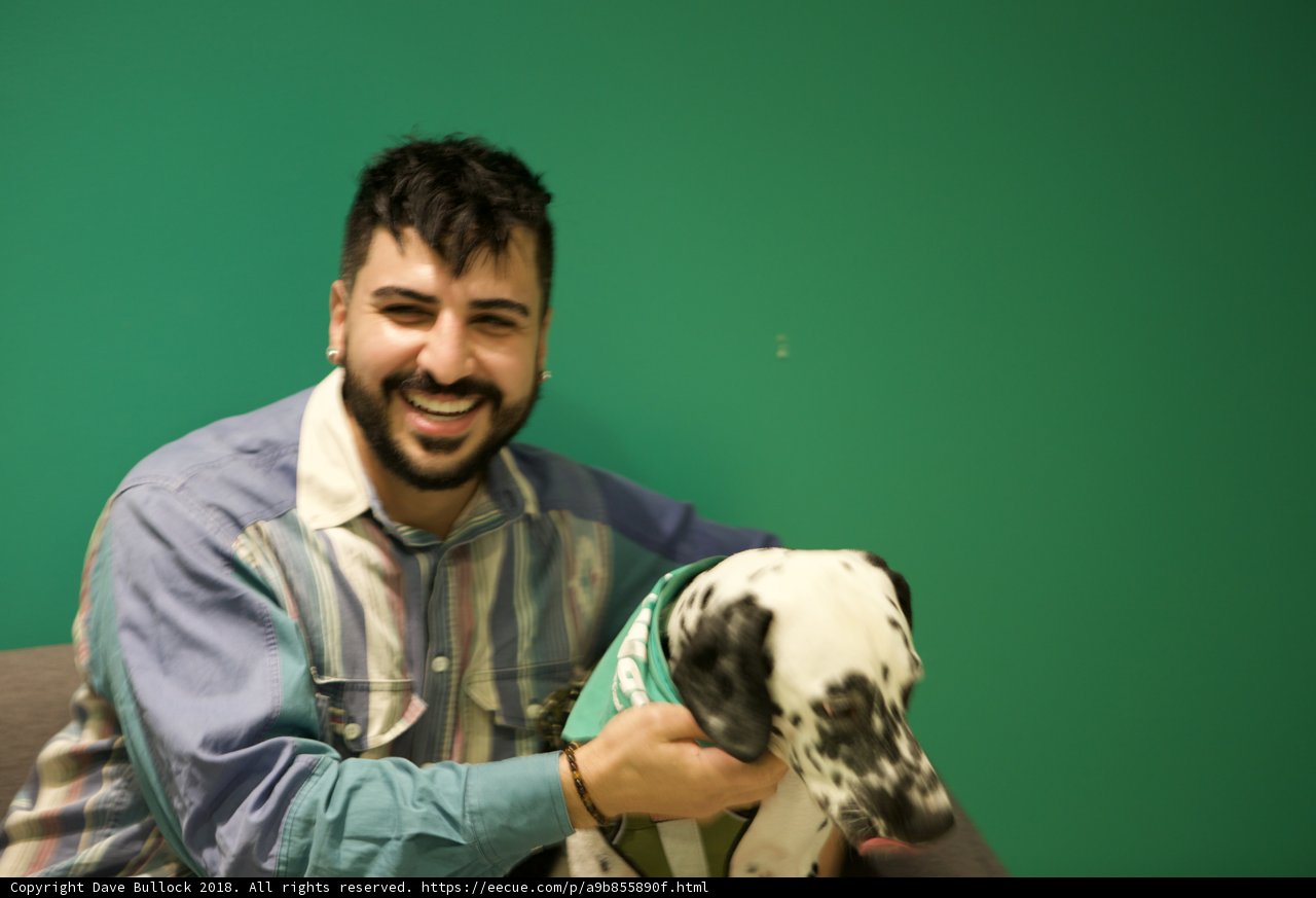 Man's Best Friend