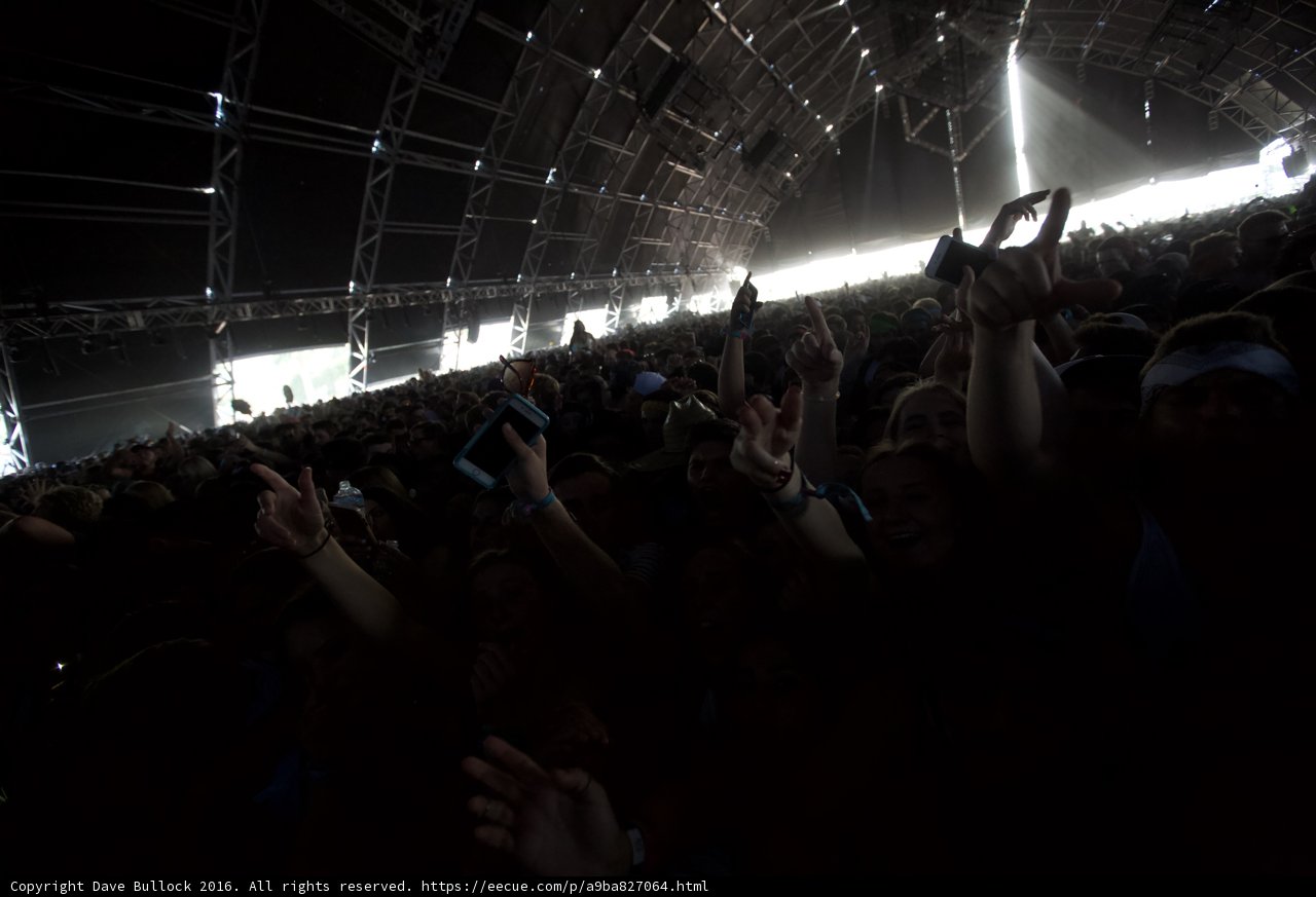 Electrifying Crowd at Coachella Concert