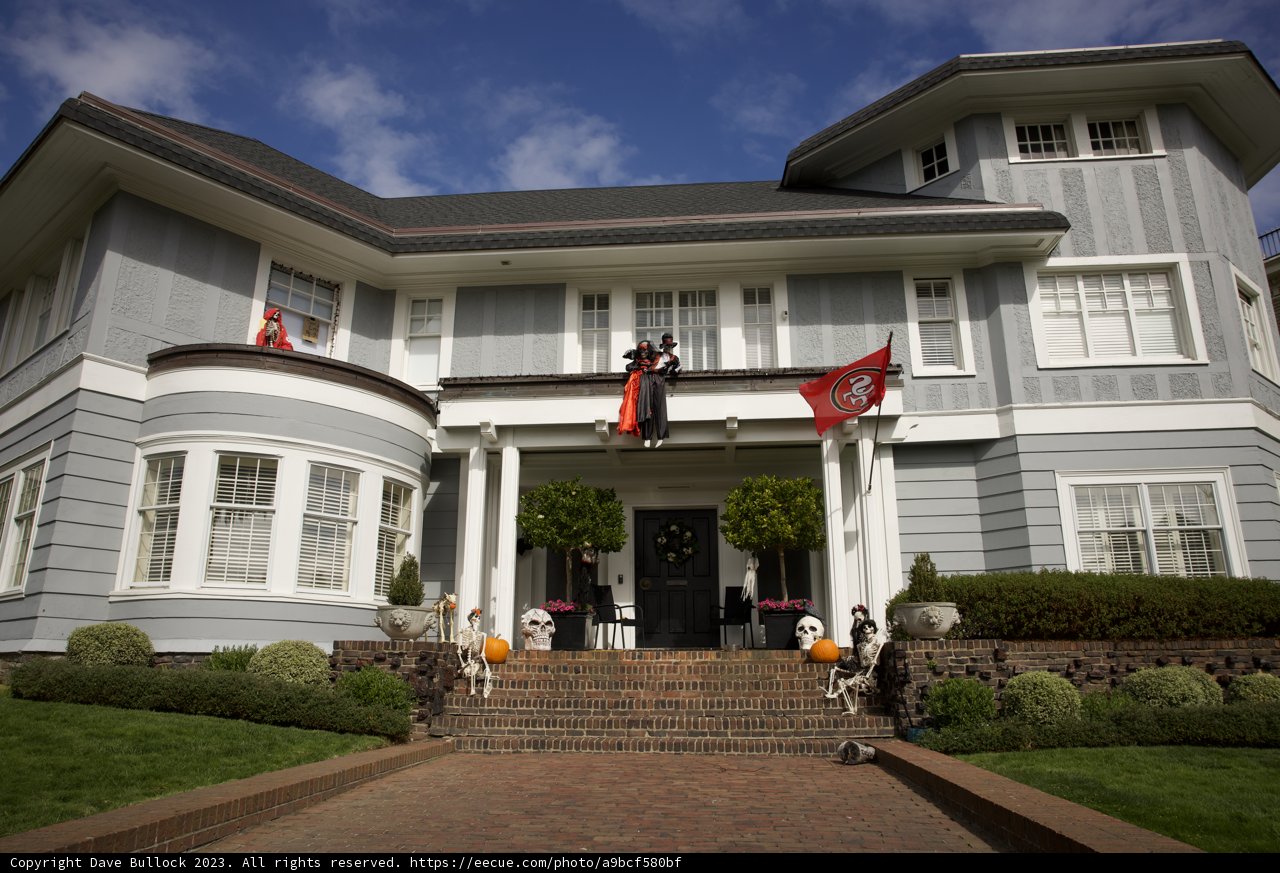 The Majestic Mansion of San Francisco