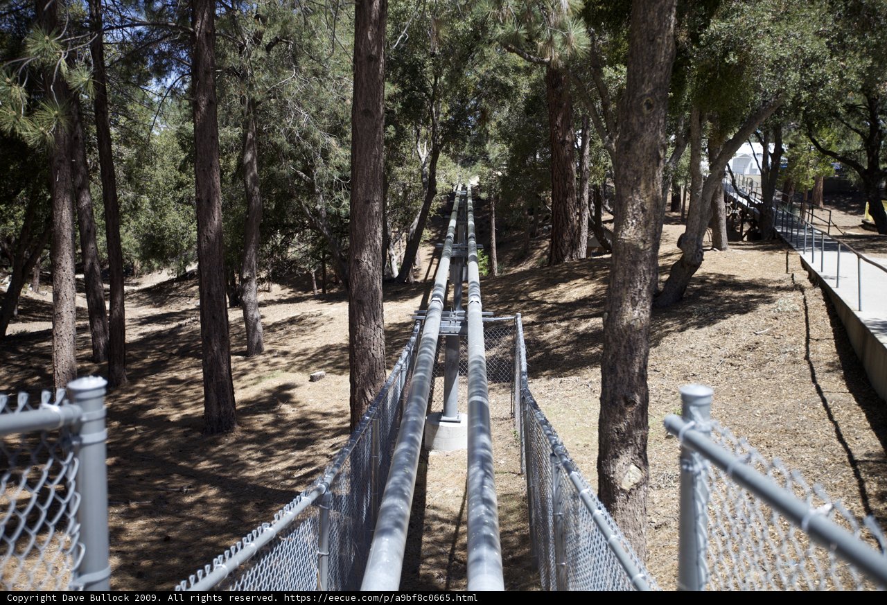 Woodland Suspension Bridge