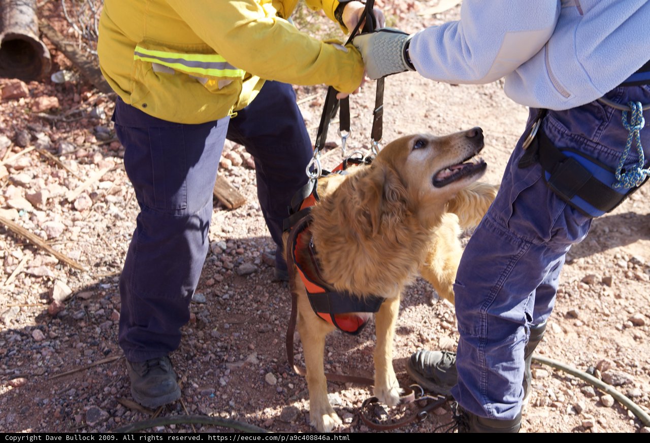 Rocky Rescue
