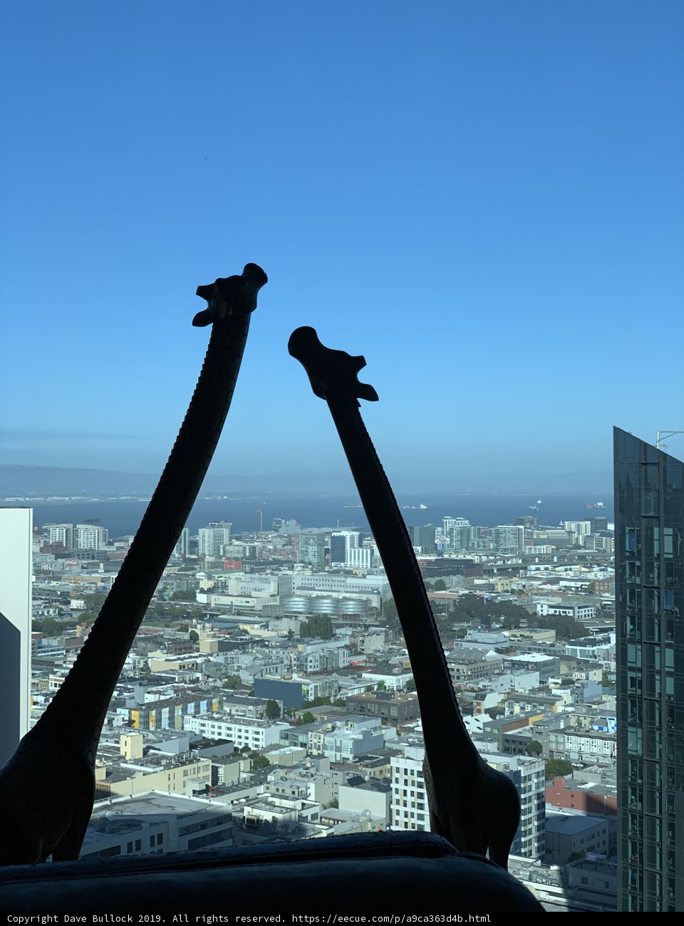 The Birds of Metropolis