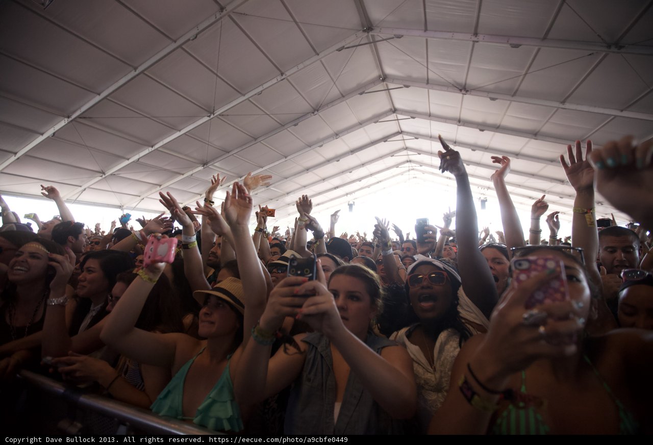 High Energy Crowd at Coachella Music Festival