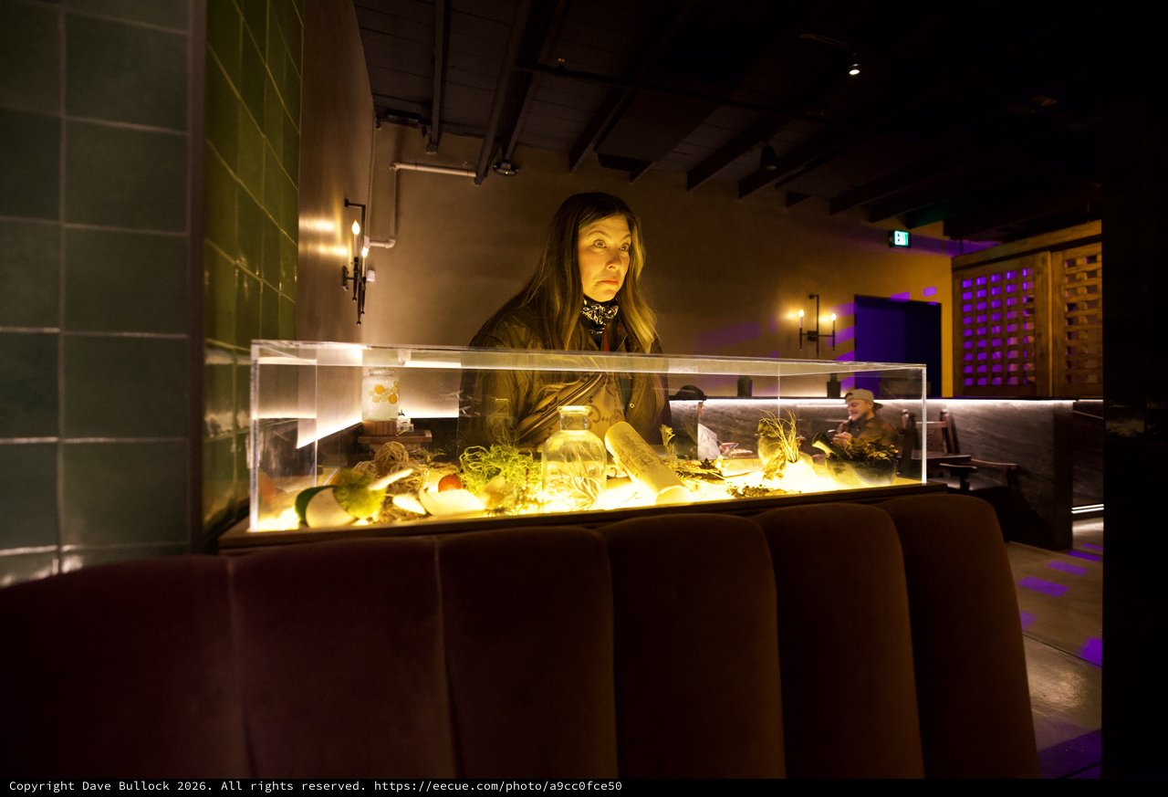 Woman Contemplating Illuminated Aquarium Display at Night