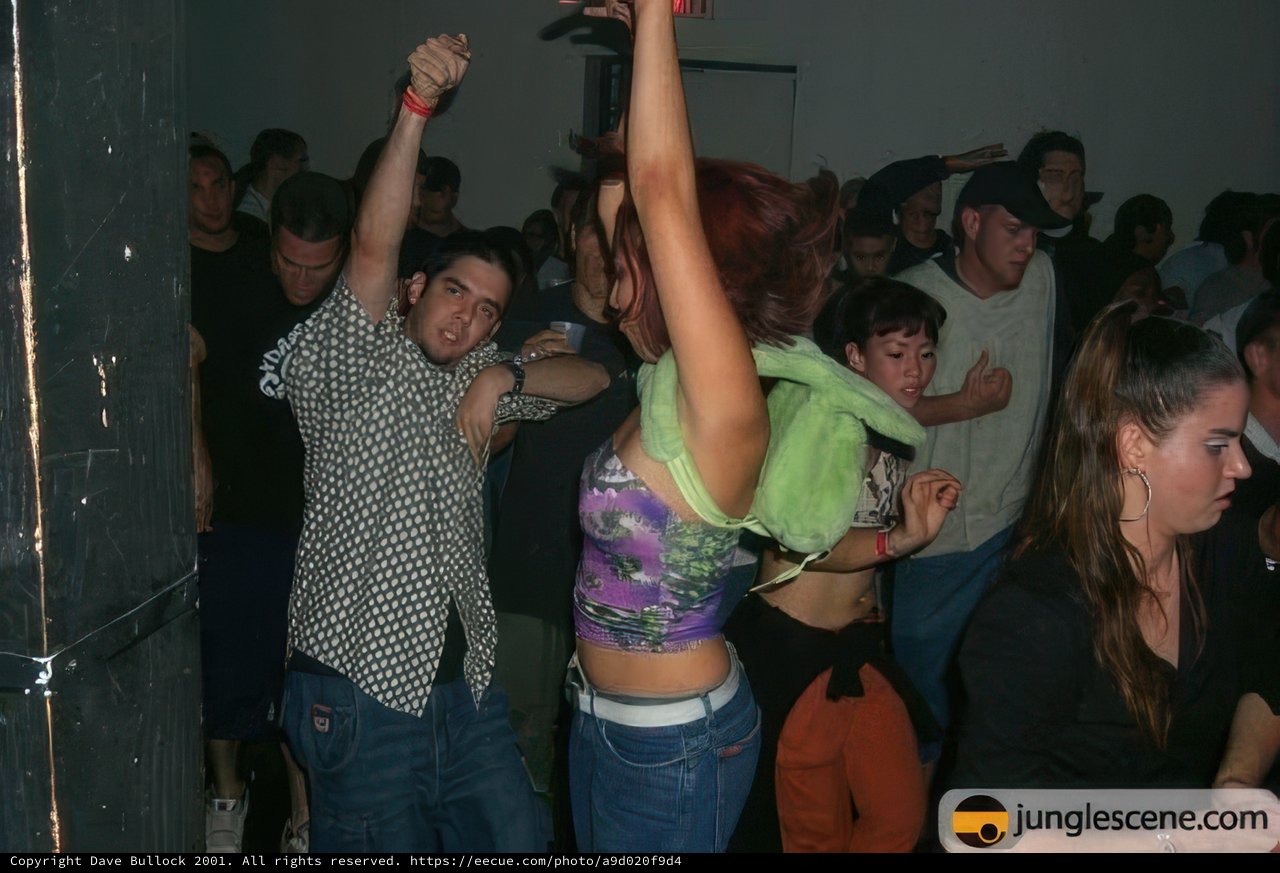 Disco Night Fever