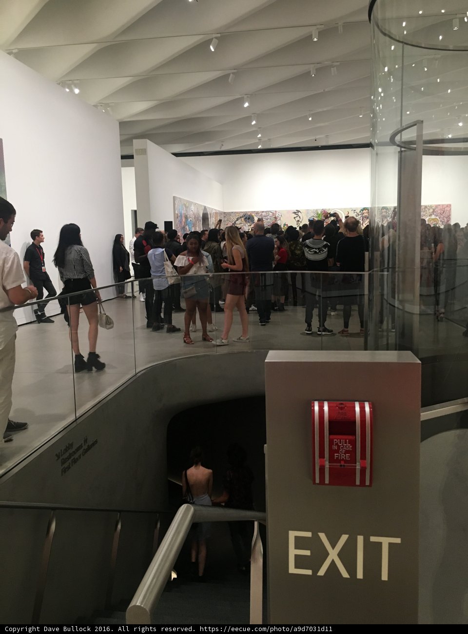 Museum Madness