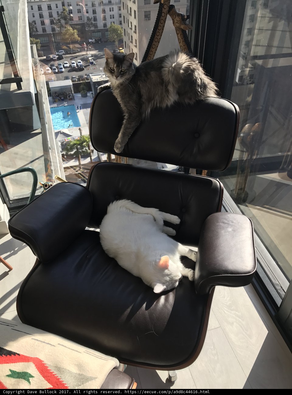 Double Trouble on the Armchair