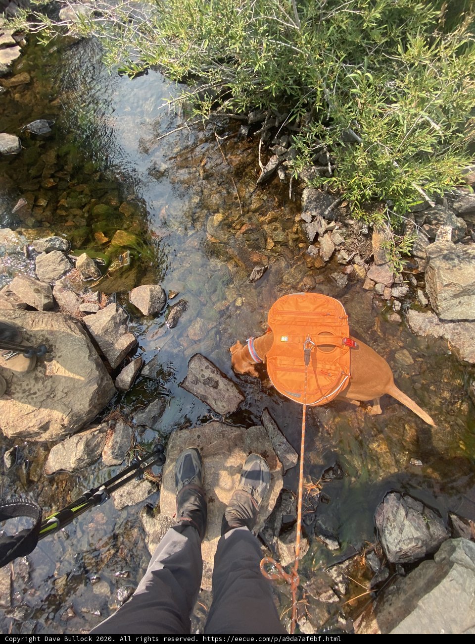 Wilderness Hike to the Creek