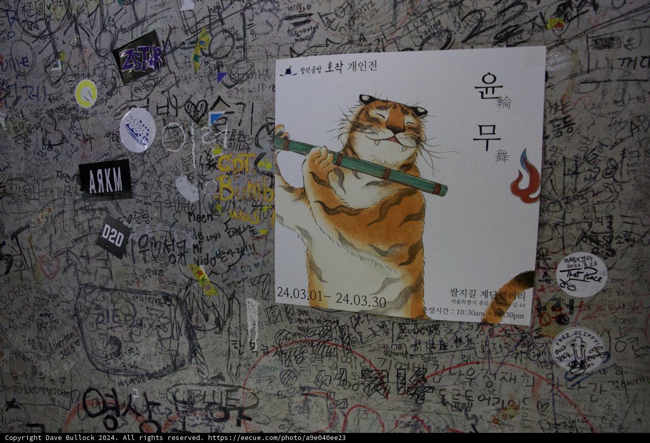 Stripes and Strokes: Graffiti Tiger Mural