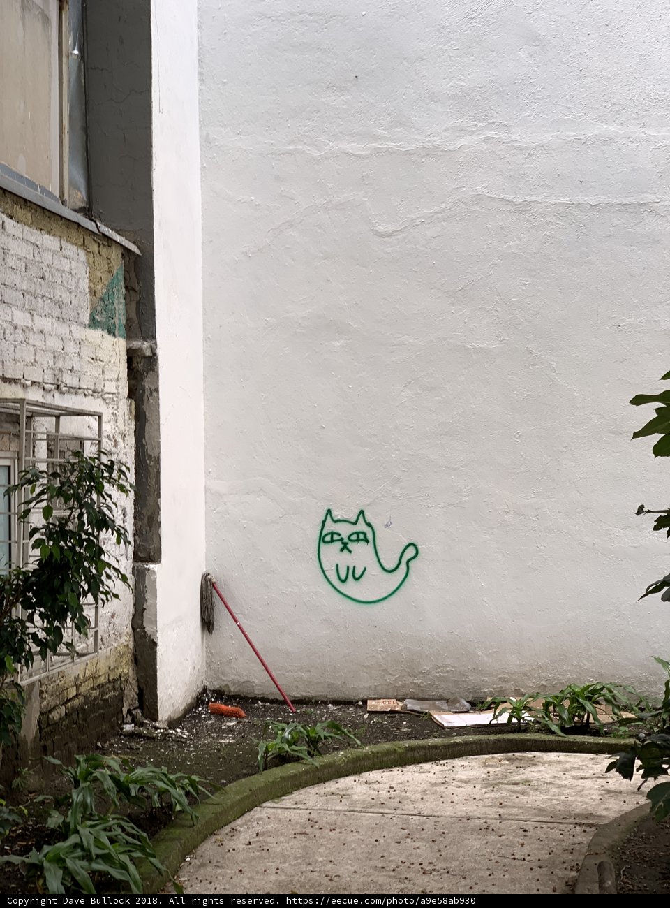 Green Cat Mural Adorns Courtyard Wall