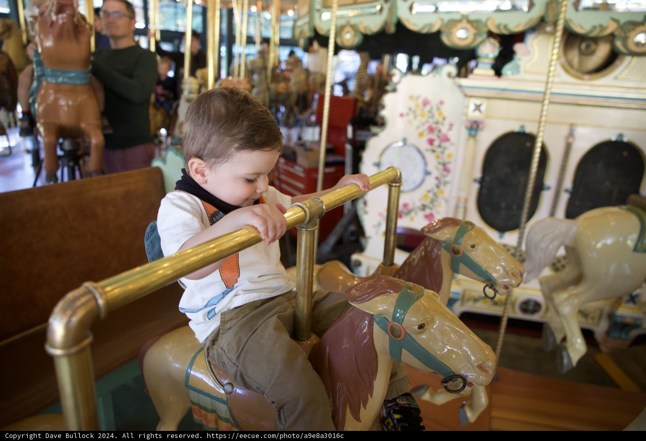 Joyride on the Carousel